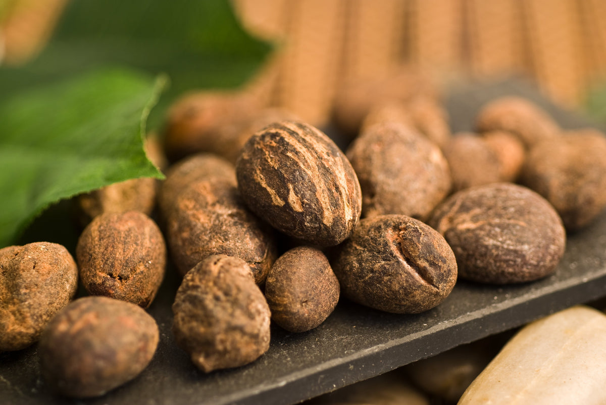 Sheabutter vs. Sheaöl – zwei Naturschätze, ein Ursprung