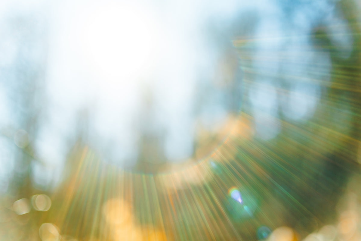 Abstraktes Sonnenlicht mit Lensflare, unscharfer Waldhintergrund