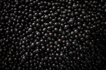 Bio-Acai-Beere