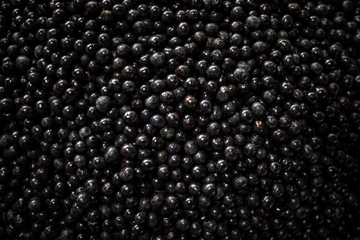 Nahaufnahme von vielen Acai Beeren