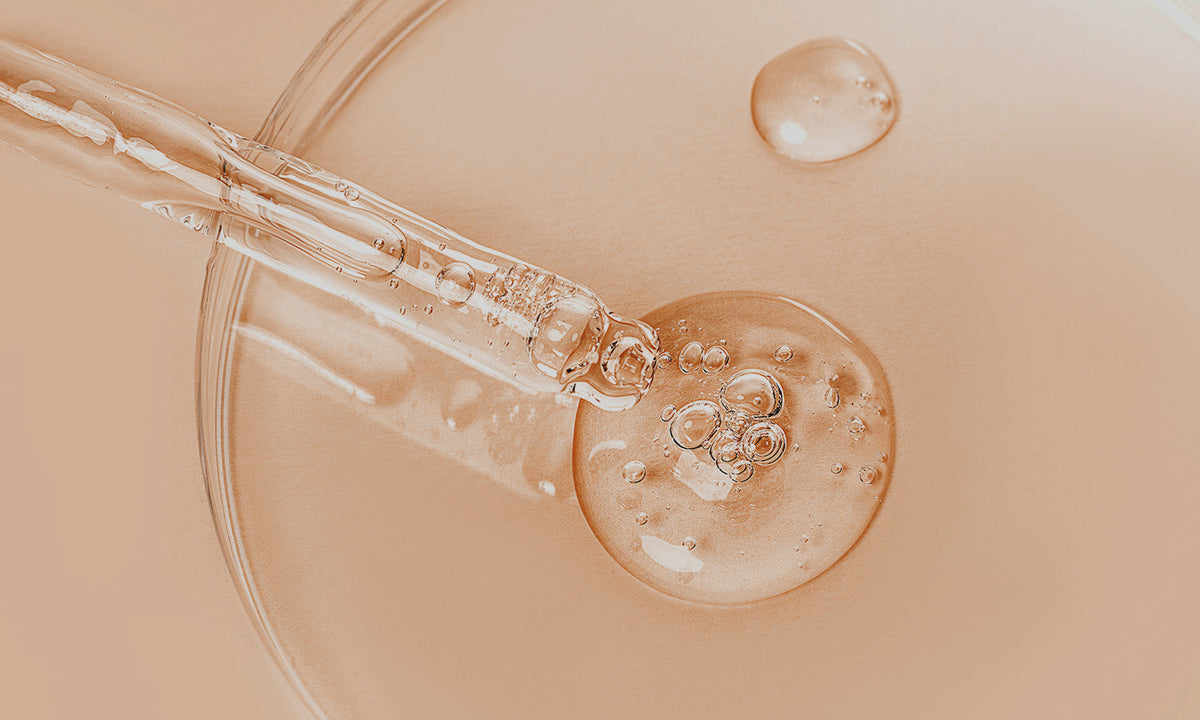 Pipette orangene Flüssigkeit Petrischale