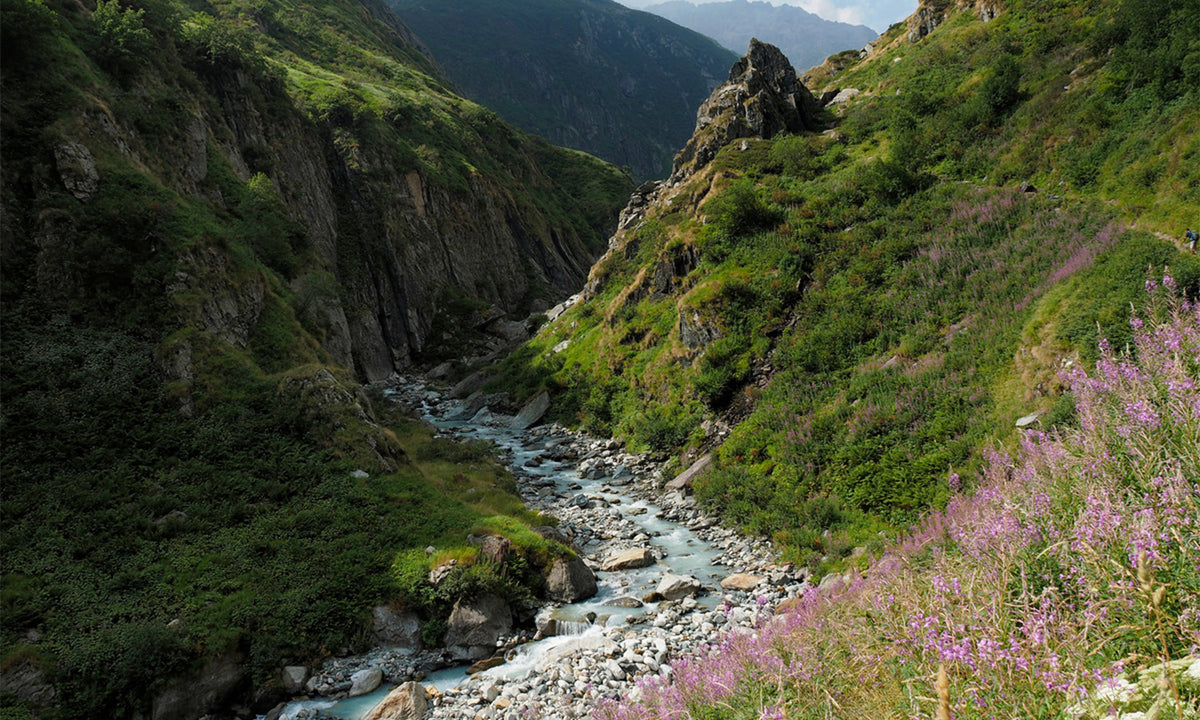 Grüne mit Gras und Blumen bewachsene Berglandschaft mit Schlucht, durch die ein Fluss fließt