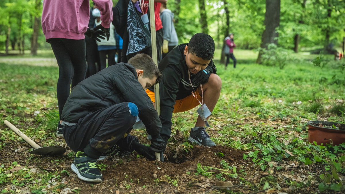 Zwei Jungen hocken im Wald und pflanzen