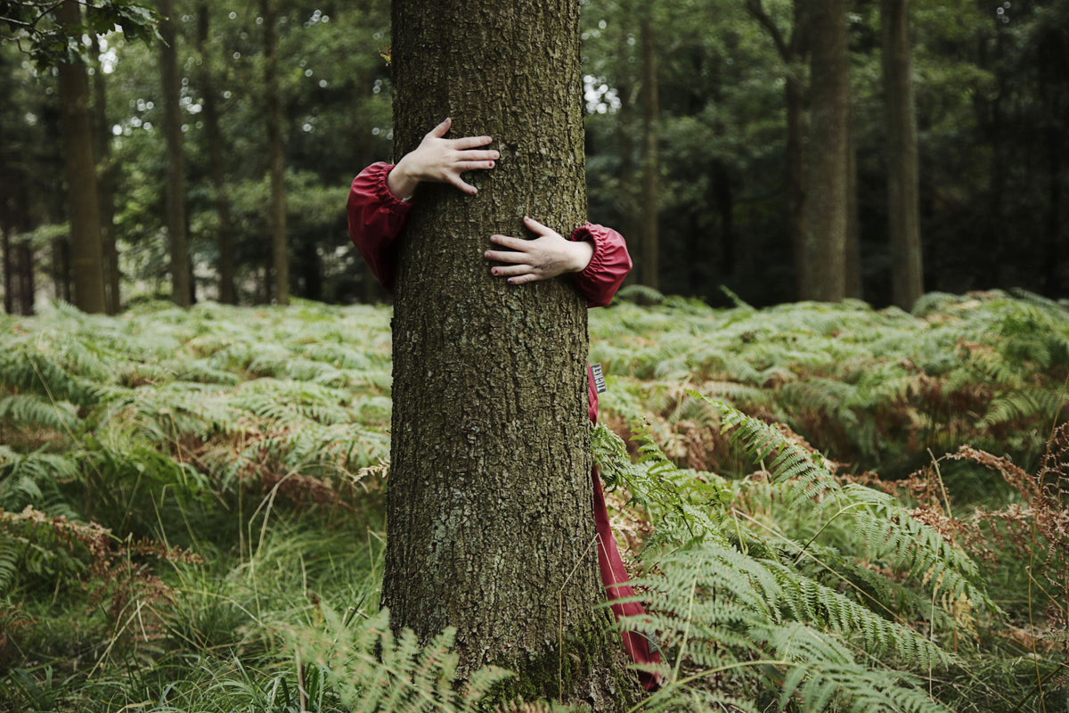 Kind umarmt einen Baum im Wald