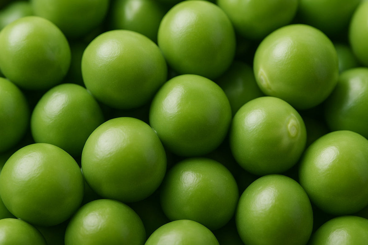 Nahaufnahme von grünen Erbsen, Zutat für Erbsenpeptide
