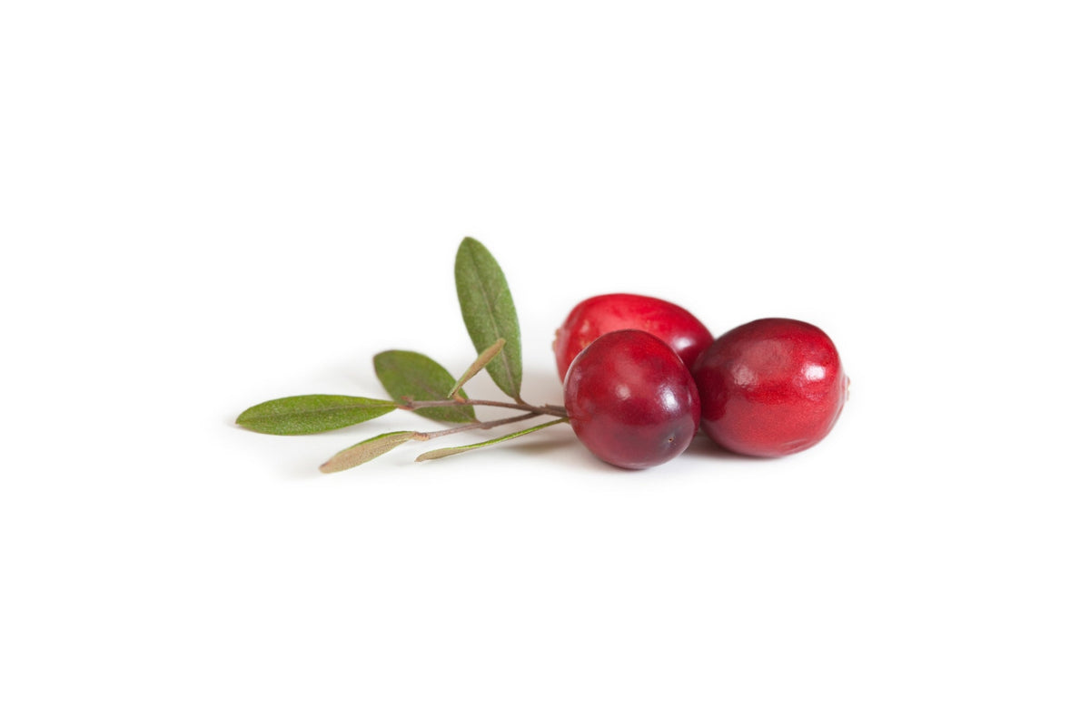 Darstellung Cranberries
