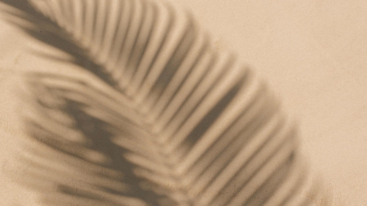 Weicher Schatten eines Palmblattes auf hellem Sandhintergrund.