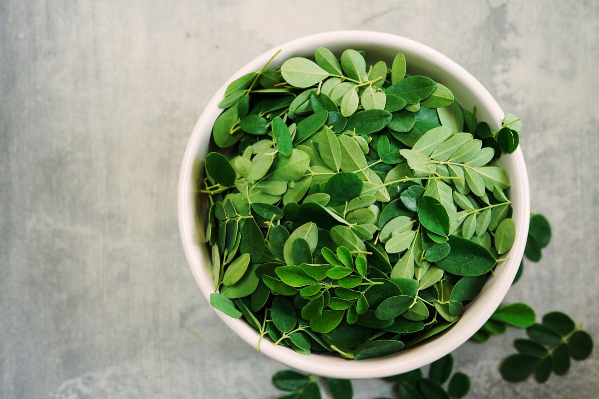 Schale gefüllt mit frischen Moringa-Blättern, von oben fotografiert.